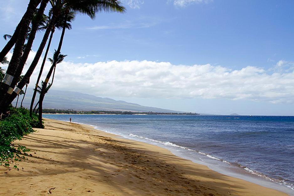 Kealia Resort 203 Kihei Esterno foto